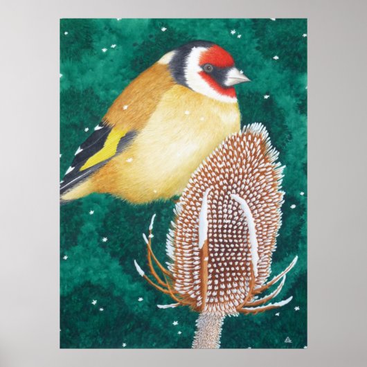Die europäische Goldfinch Poster (Vorne)