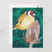 Die europäische Goldfinch Postkarte (Vorne/Hinten)