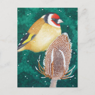 Die europäische Goldfinch Postkarte