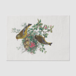 Die europäische grünfinale Dekoupage Seidenpapier