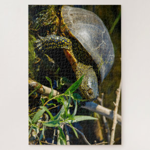 Die Europäische Sumpfschildkröte Puzzle