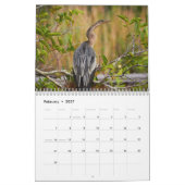 Die Everglades Kalender (Feb 2027)