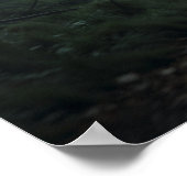 Die Expedition (Monster sind real) Poster (Ecke)
