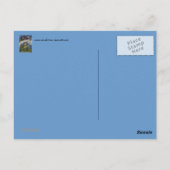 Die Fairies-Postkarte Postkarte (Rückseite)