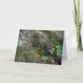 "Die Fairy war Zuhause" Karte (Vorderseite)