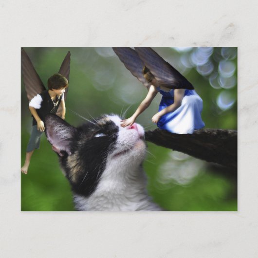 Die Fairys und die Kätzchen-Postkarte Postkarte (Vorderseite)