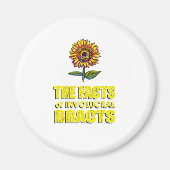 Die Fakten der involutionären Bänder - Sonnenflut Magnet (Vorne)