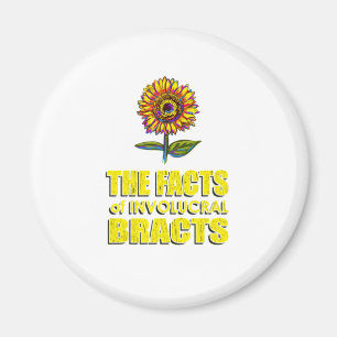 Die Fakten der involutionären Bänder - Sonnenflut  Magnet