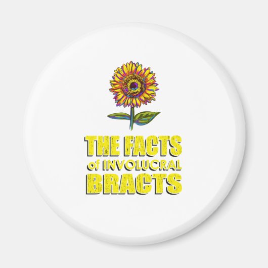 Die Fakten der involutionären Bänder - Sonnenflut  Magnet (Vorne)