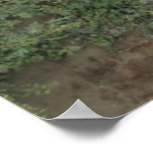 Die Familie Pinguin Poster (Ecke)