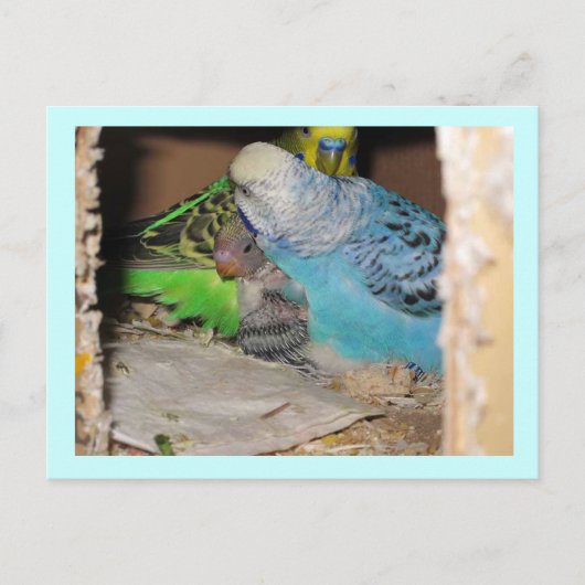 Die Familie Postkarte (Vorderseite)