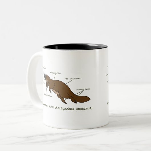 Die fantastische Platypus Tasse (Vorderseite Links)