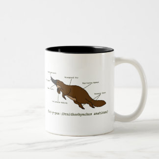 Die fantastische Platypus Tasse