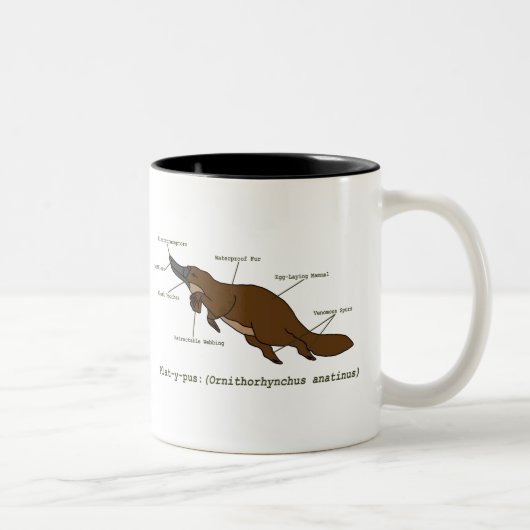 Die fantastische Platypus Tasse (Rechts)