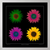 "Die Farbe der Sonnenblumen" Designer Poster auf s (Vorne)