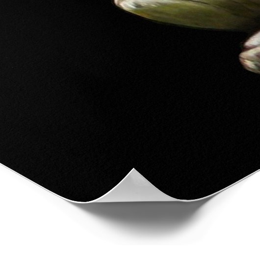 Die Farbe des Buddha-Posters Poster (Ecke)