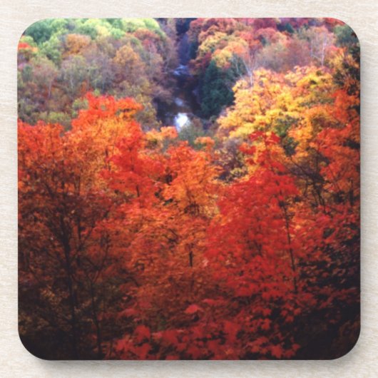 Die Farbe des Herbstes ändert sich Getränkeuntersetzer (Vorderseite)