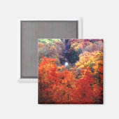 Die Farbe des Herbstes ändert sich Magnet (Vorderseite/Rückseite)