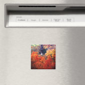 Die Farbe des Herbstes ändert sich Magnet (In Situ (Geschirrspüler))