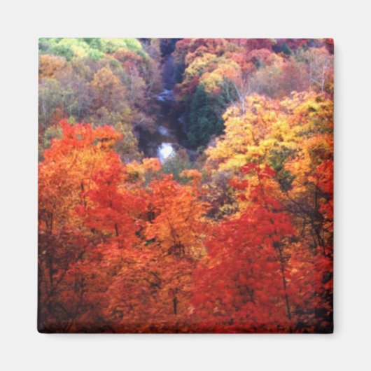 Die Farbe des Herbstes ändert sich Magnet (Vorne)