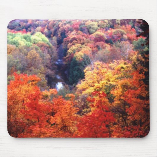 Die Farbe des Herbstes ändert sich Mousepad (Vorne)