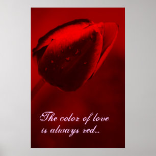 Die Farbe des Liebe Poster