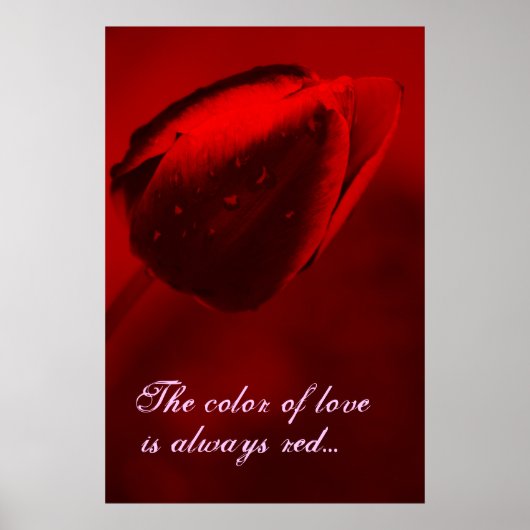 Die Farbe des Liebe Poster (Vorne)
