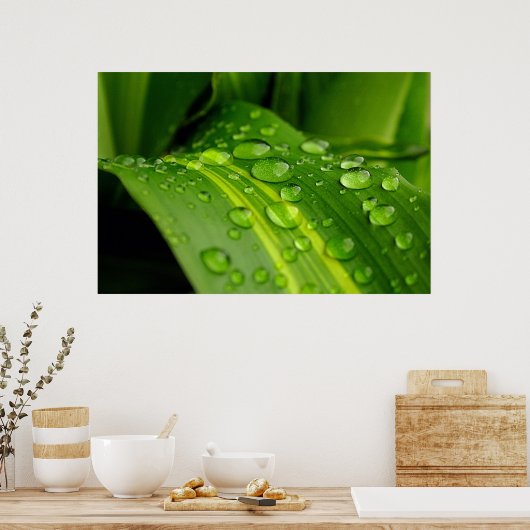 Die Farbe des Regens. Poster (Küche)