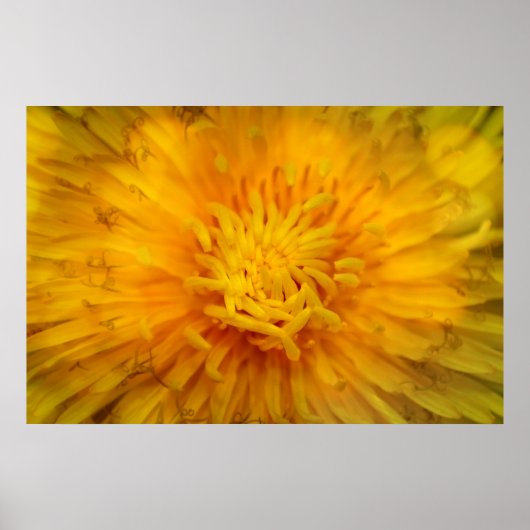 Die Farbe Gelb Poster (Vorne)