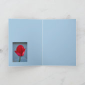 Die Farbe Rot Karte (Innenseite)