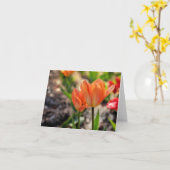 Die Farben der Frühlings-Mitteilungskarten Karte (Gelbe Blume)