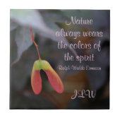 Die Farben der Keramik für das Zitat der Natur im  Fliese (Vorderseite)