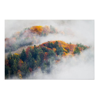 Die Farben des Herbstes in den Alpen Poster