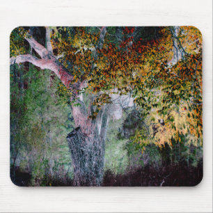 Die Farben des Herbstes.... Mousepad