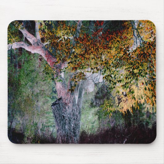 Die Farben des Herbstes.... Mousepad (Vorne)