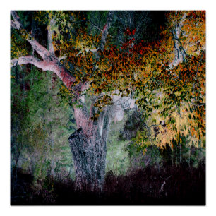 Die Farben des Herbstes.... Poster