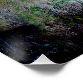 Die Farben des Herbstes.... Poster (Ecke)