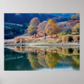 Die Farben des Herbstes Poster (Vorne)