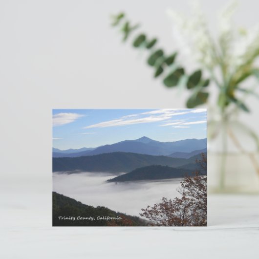 Die Farben des Herbstes... Postkarte (Stehend Vorderseite)