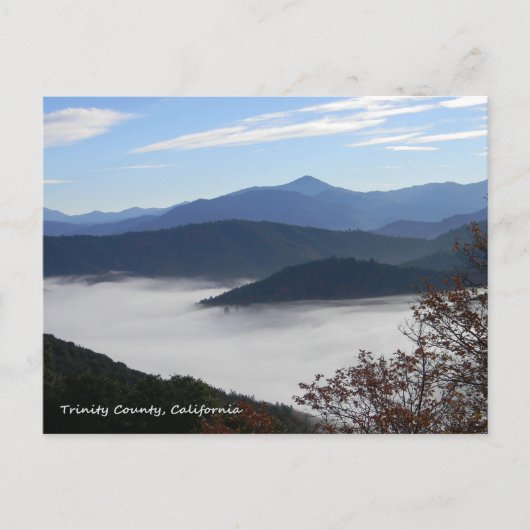 Die Farben des Herbstes... Postkarte (Vorderseite)