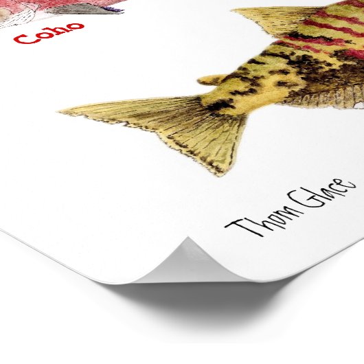 Die Farben des Lachs Poster (Ecke)