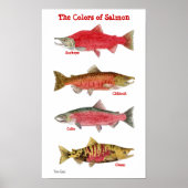 Die Farben des Lachs Poster (Vorne)