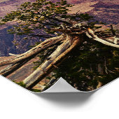 Die Farben des Posters des Grand Canyon Poster (Ecke)