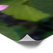 die Farben des Sommers Poster (Ecke)