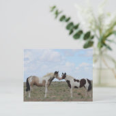 Die Farben Postkarte (Stehend Vorderseite)