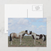 Die Farben Postkarte (Vorne/Hinten)