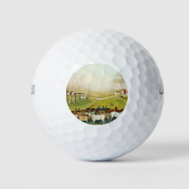 Die Farm Cornell (Landschaft Pennsylvania) Golfball