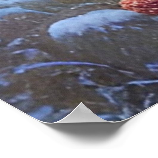 Die faszinierende Winterwelt Wunderland Landschaft Poster (Ecke)