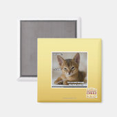 Die Feder ist tot. Magnet (Vorderseite/Rückseite)