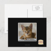 Die Feder ist tot. Postkarte (Vorne/Hinten)